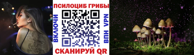 сайты даркнета формула  ссылка на мегу онион  Добрянка  хочу   Псилоцибиновые грибы мицелий 