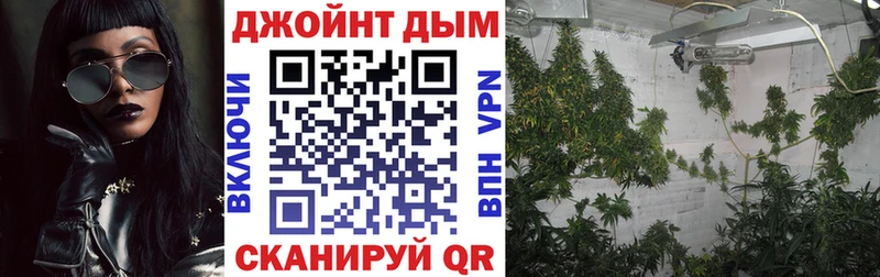 Каннабис семена где можно купить наркотик Добрянка